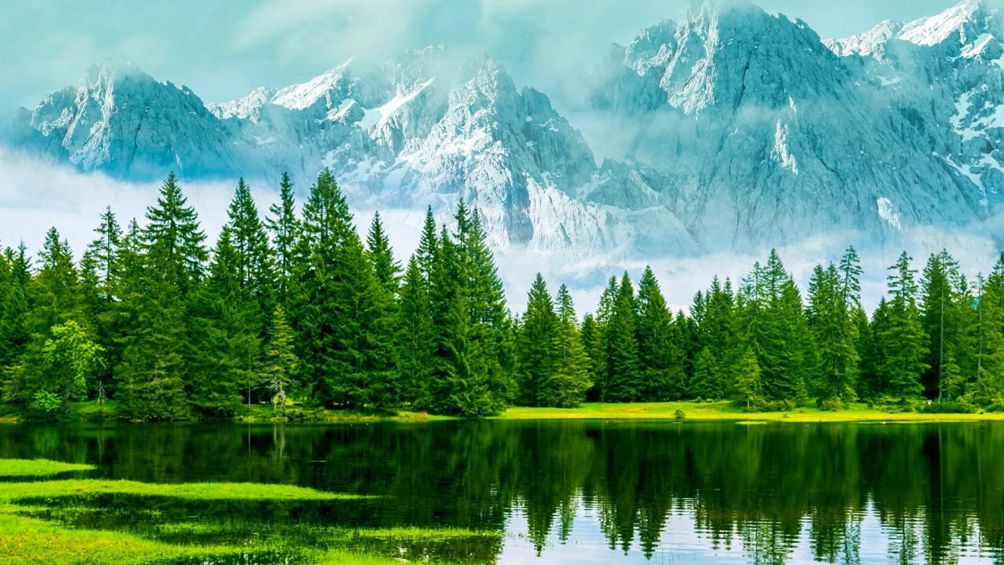 Красивые обои на телефон природа. Лес горы. Красивые обои природа. Баннер с видом природы. Обои лес горы.