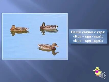 Белый день утки кря кря
