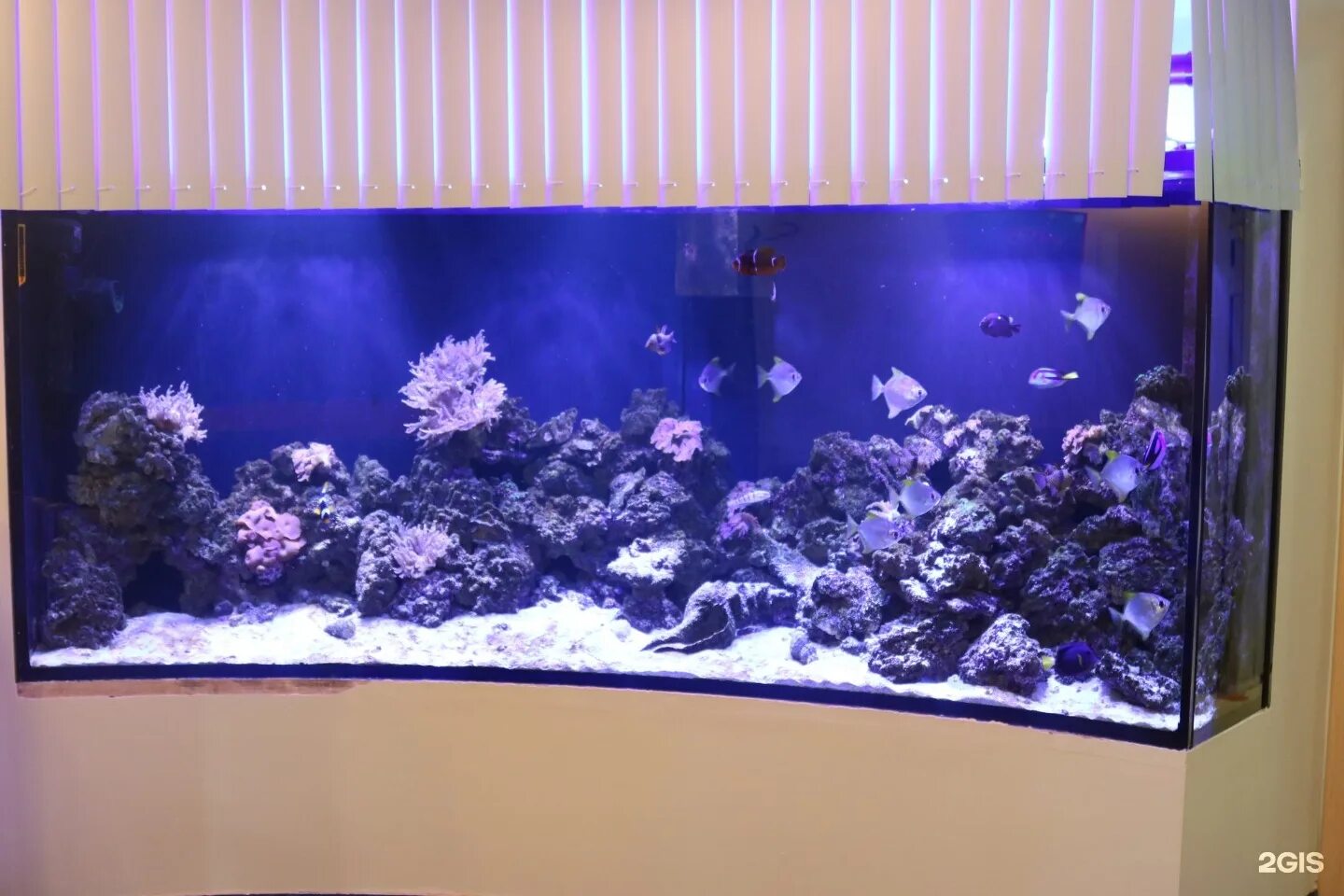 Детский центр улица флерова. Океан балашиха. Океан здоровья медицинский центр балашиха. Океан балашиха. Центр здоровья балашиха.