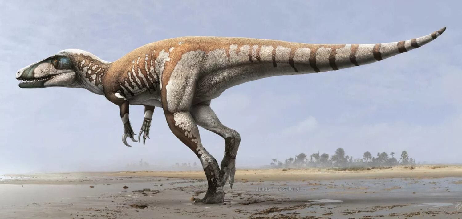 Хищный динозавр 12 букв. Julius Csotonyi. Мегараптор палеоарт. Танура динозавр хищник. Двуногие травоядные динозавры.