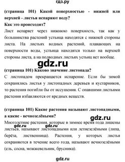 Параграф 38 биология конспект