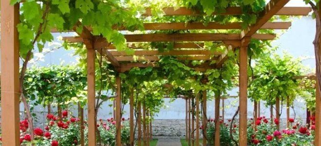 The Traditional Wooden Garden Pergola, Custom Made from Redwood Pergola, Wooden 
