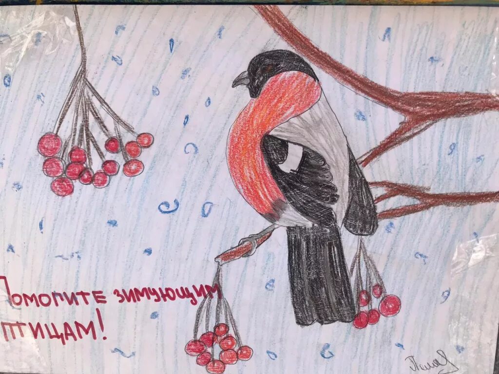 плакат на тему берегите птиц. рисунок спасите птиц. рисунок спасите птиц. лозунги про птиц. плакат в защиту птиц.