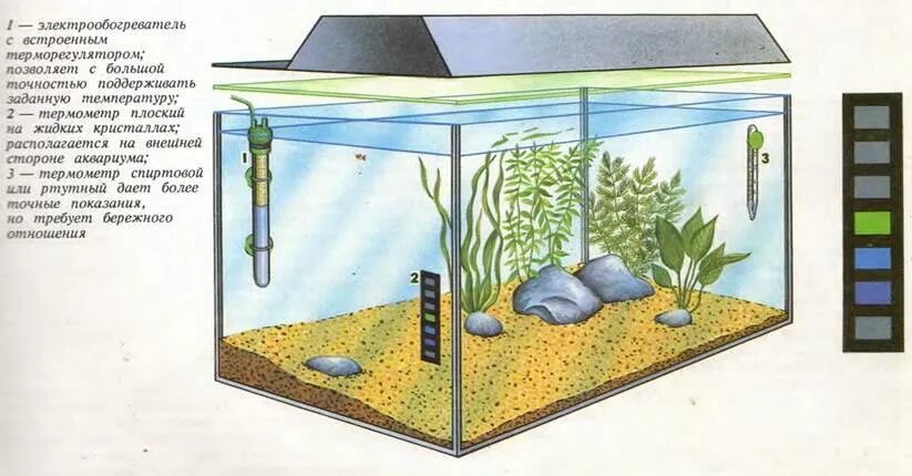Оснащение аквариума для рыб. Температура в аквариуме для рыбок. Расположение оборудования в аквариуме. Расстановка в аквариуме.