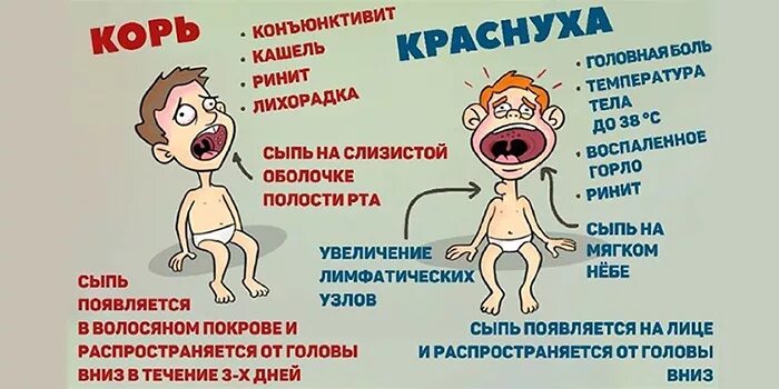 Какая сыпь при краснухе у детей фото В Югру завезли опасную инфекцию. У прибывшего из Москвы пассажира подозревают ко