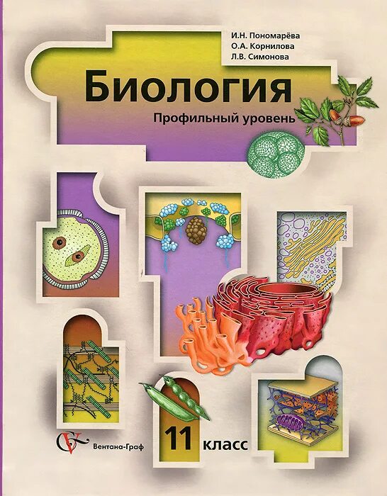 Человек и его здоровье биология 8 класс. Что изучают в 11 классе по биологии. Биология человек и его здоровье 8 класс любимова з. Схема происхождения и эволюции человека. Биология человека 11 класс.