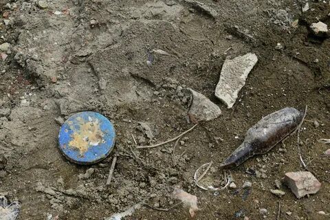 Осадок на дне водоема