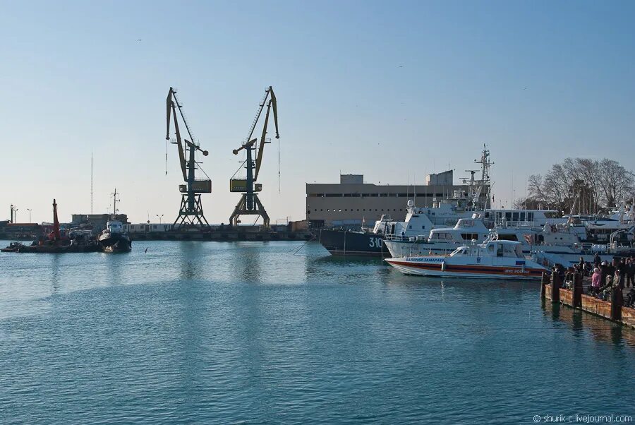 акватория морского порта это. прогулка в порту мультфильм. в порту мультфильм 1975 капитан. инесса ковалевская о мультфильме в порту. акватория рисунок.