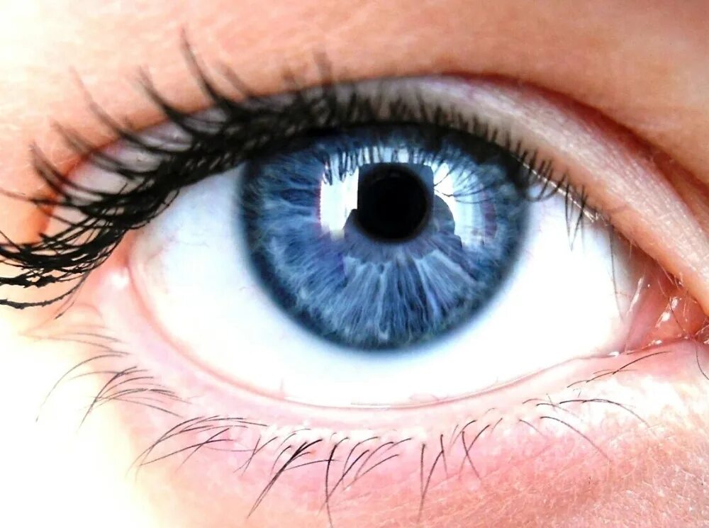 Глаза долу. Синие глаза. Голубой цвет глаз. Темно синий цвет глаз. Глубокие синие глаза.