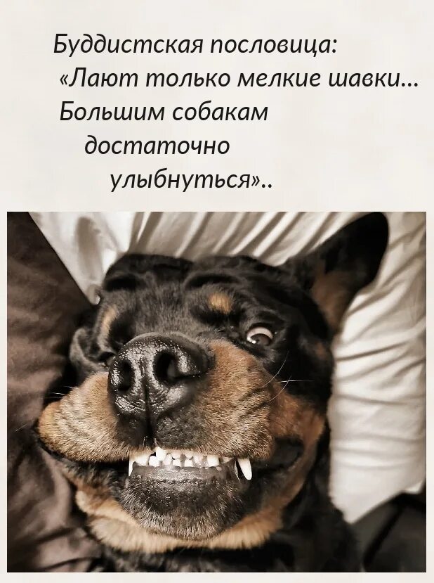Улыбнитесь достаточно