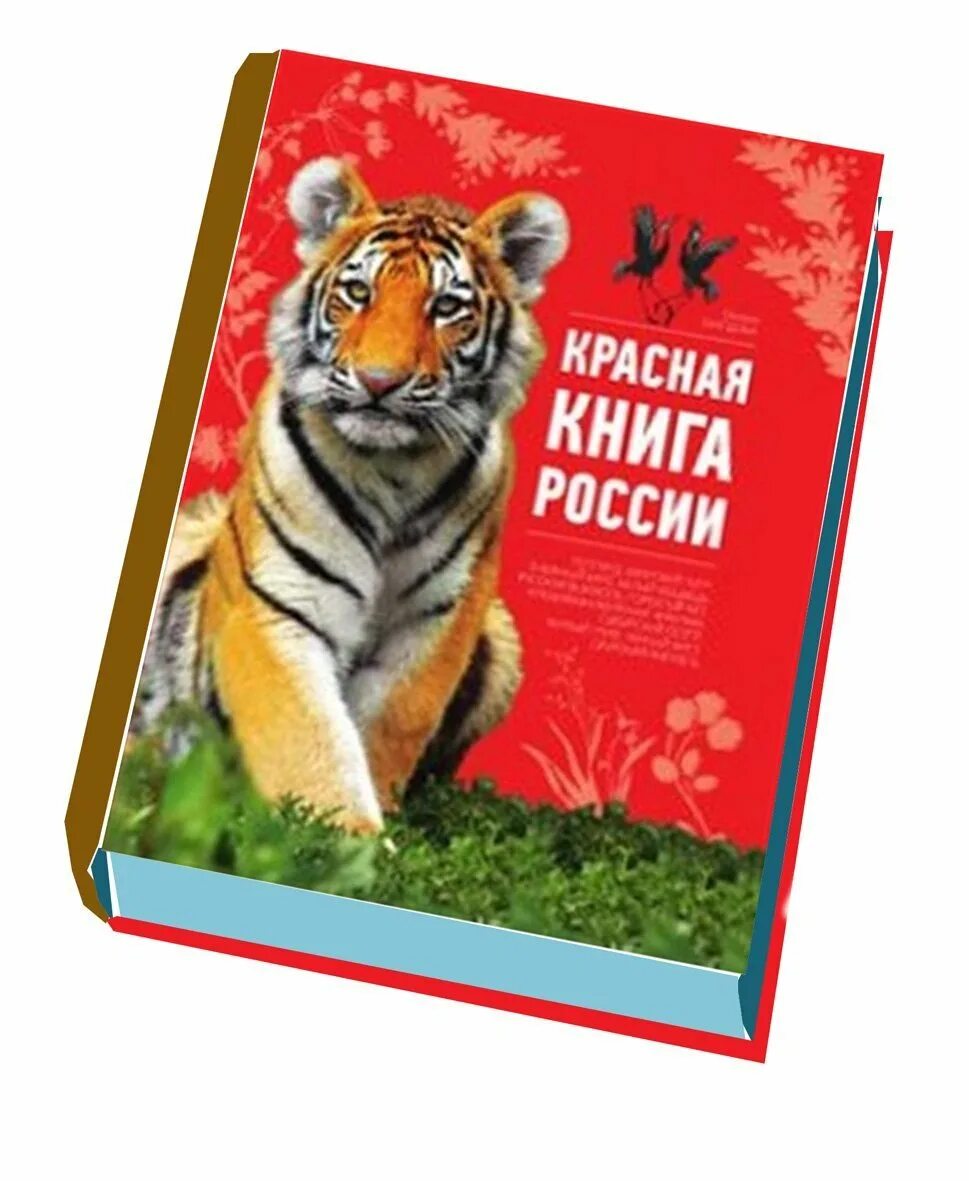 Образцы красной книги. Красная книга. Красная книга России. Красная книга российс.... Красная книга для детей.