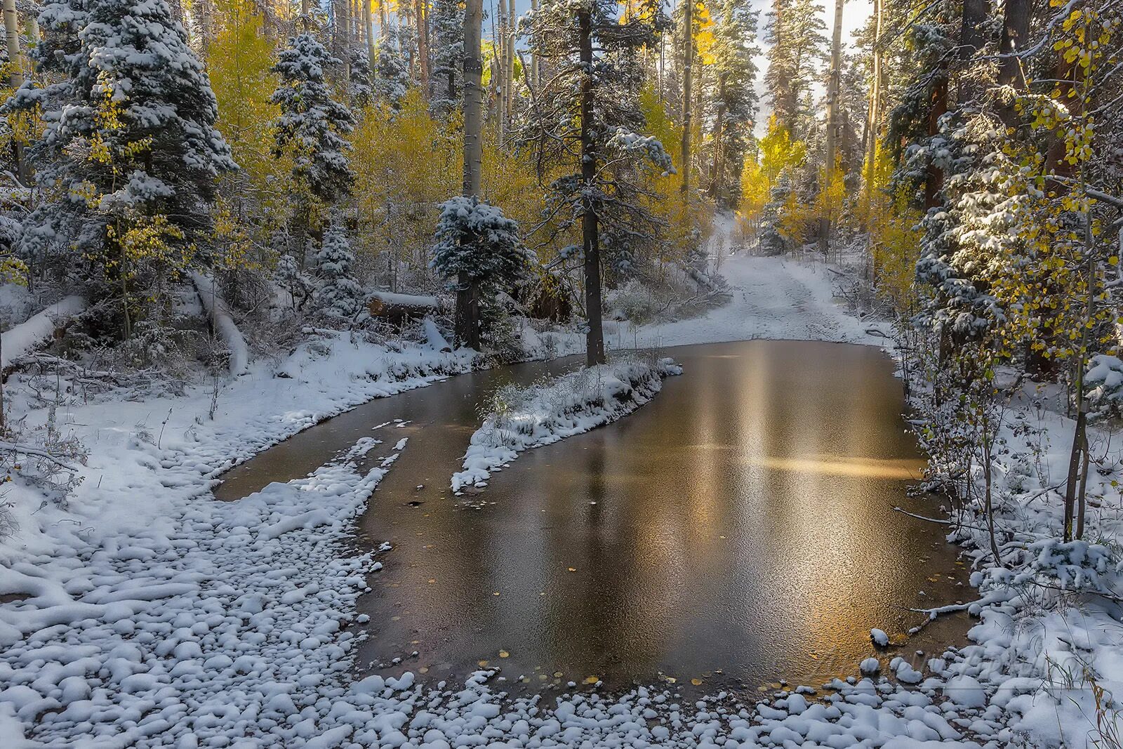 Самая поздняя зима. Первый снег. Ранняя зима. Осень снег. Ноябрь природа.