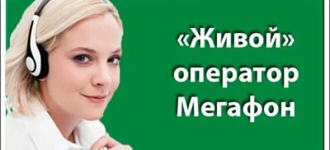 Мегафон напрямую. Мегафон горячая линия оператор. Мегафон номер поддержки. Как позвонить оператору мегафон. Как позвонить оператору мегафон.
