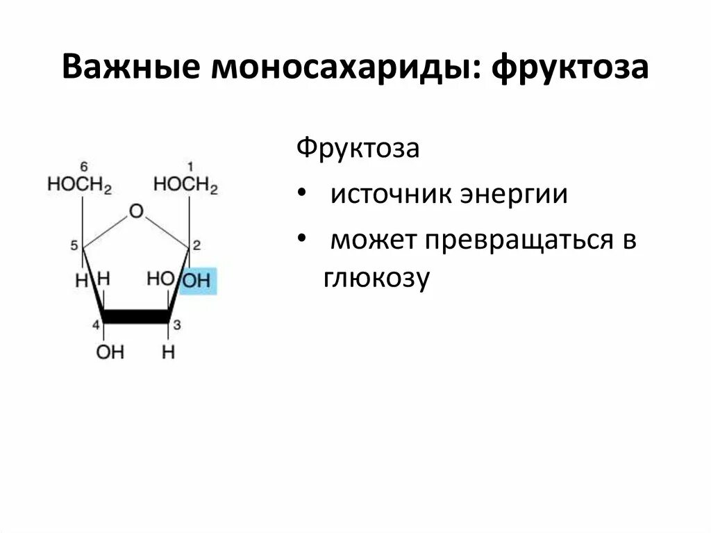 Моносахариды строение молекулы. Молекулярная формула моносахаридов. Фруктоза это моносахарид. Важнейшие представители моносахаридов.