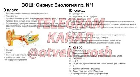 Ответы всош сириус химия 11 класс