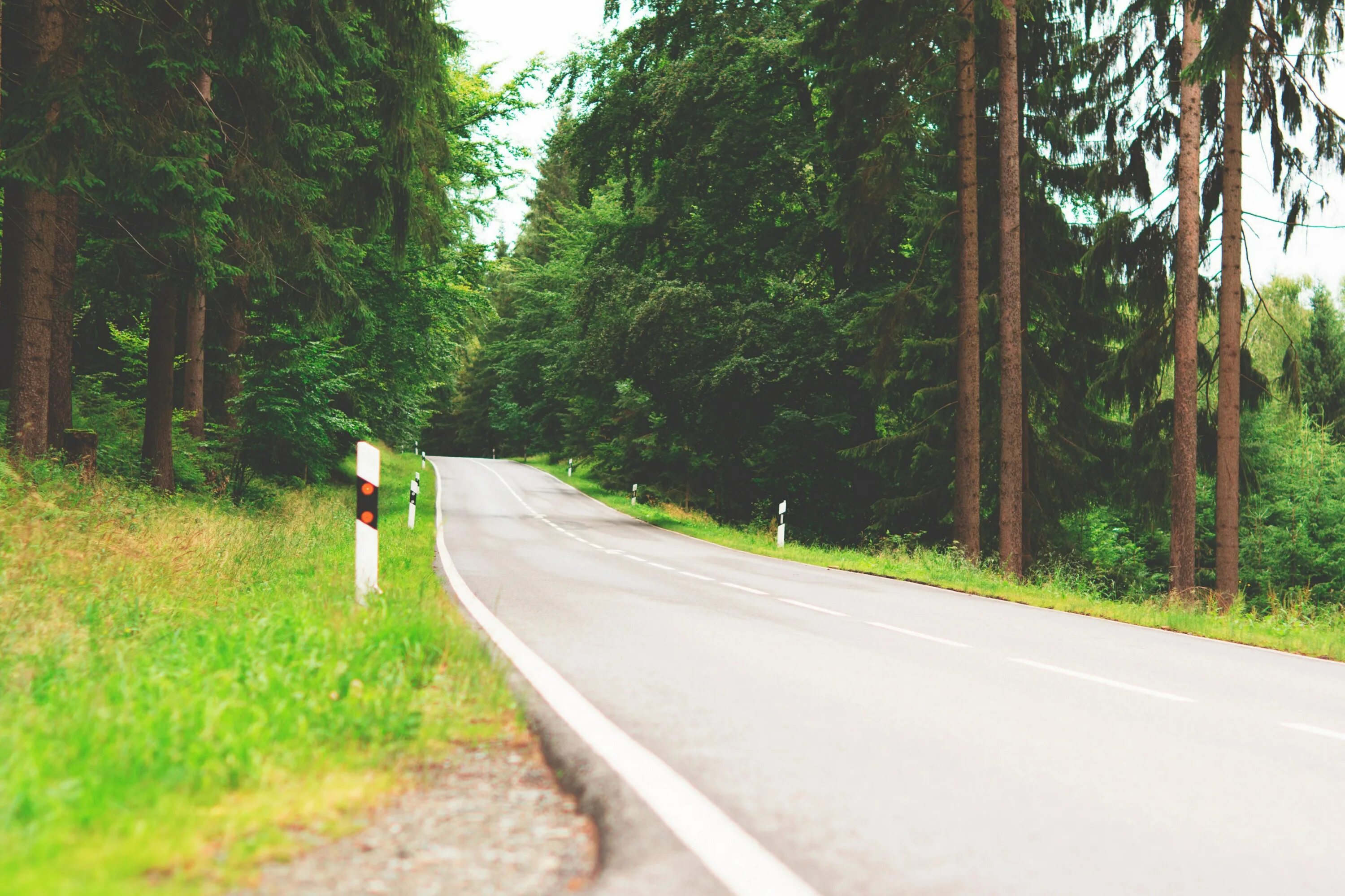 Фотосессия на дороге летом. Идти вдоль шоссе. Мужчина идет по дороге. Идти вдоль шоссе. Дорога трасса.