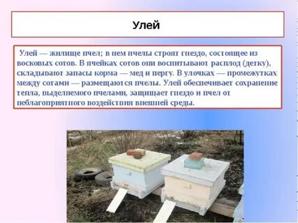 Звуки в слове ульи