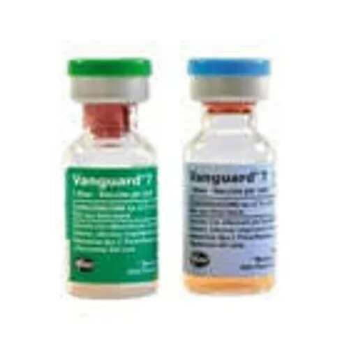 Вакцина вангард7. Вангард 5. Вангард 5/l и Вангард 7. Вангард 7 -4 вакцины для собак.