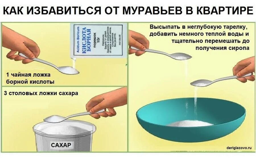 Как избавиться от писана. Как избавиться от муравьёв в квартире мелких. как избавиться от муравьев в квартире. как избавиться от муравьев в доме. как избавиться от муравьёв в квартире в домашних условиях.