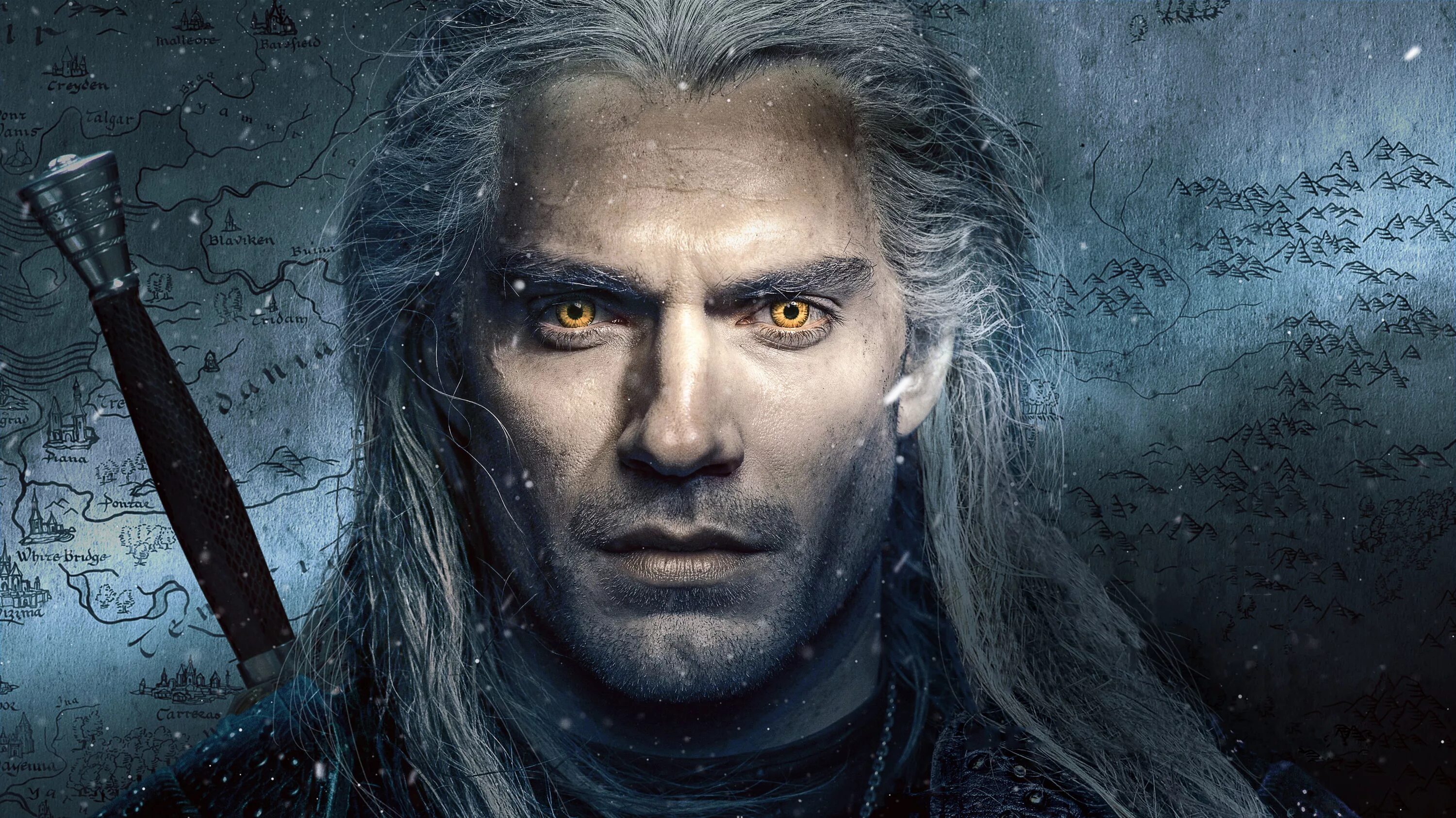 The witcher series
