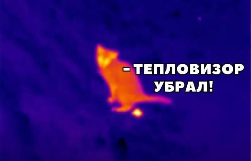 Тепловизор убрал. Тепловизор прикол. тепловизор изображение. пукнул тепловизор.