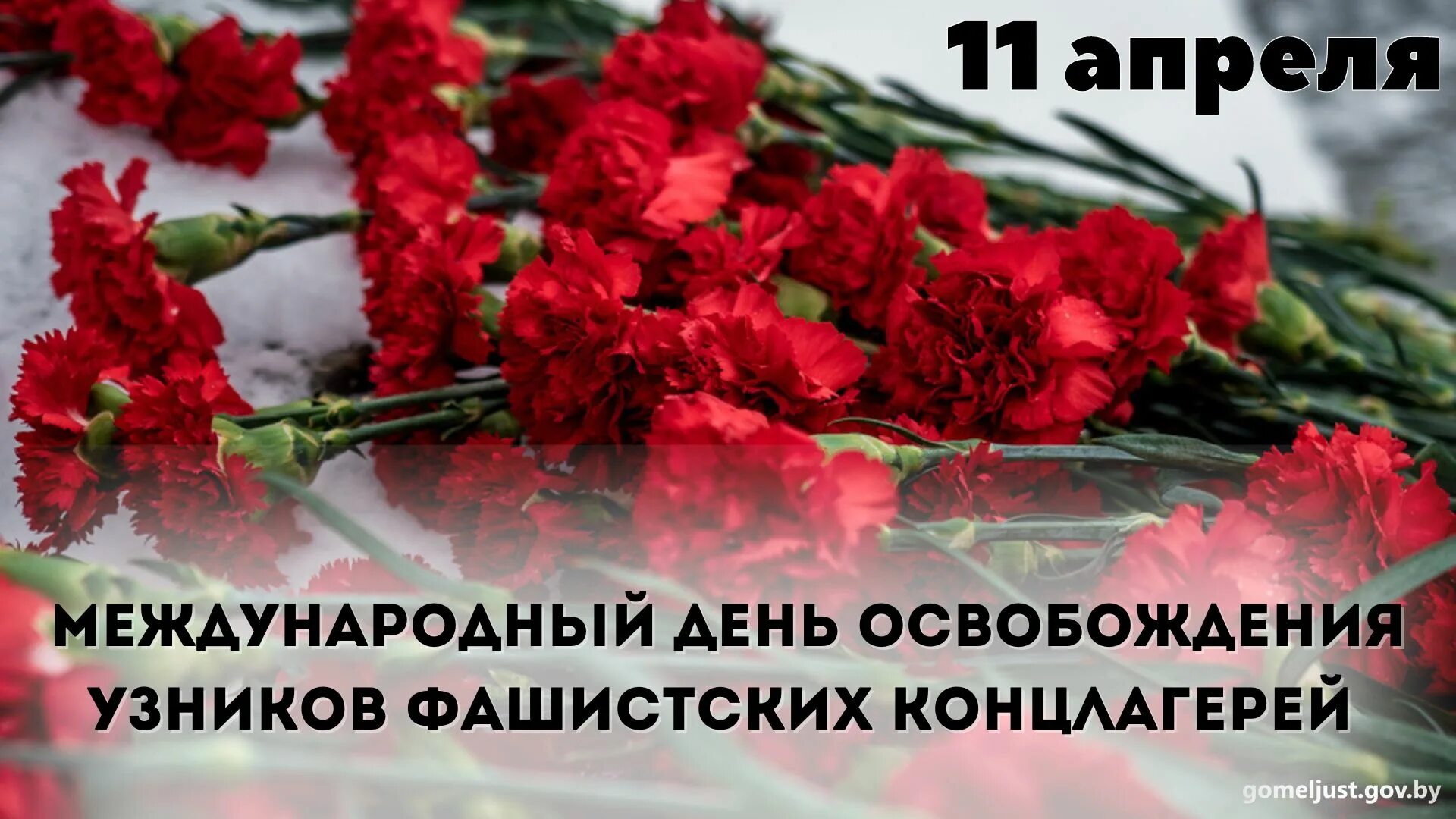 11 Апреля день освобождения узников фашистских концлагерей. Международный день освобождения узников фашистских концлагерей. День узников фашистских лагерей. Международный день освобождения узников фашизма. Памяти узников фашистских концлагерей