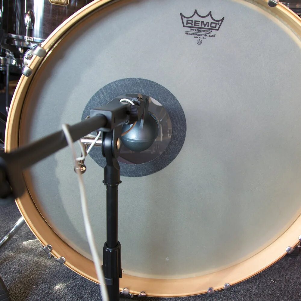 Как сделать басс микрофон. Sd systems lcm100. Shure beta 52a. Микрофон peavey. Как сделать басс микрофон.