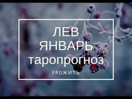 Про прожитый год