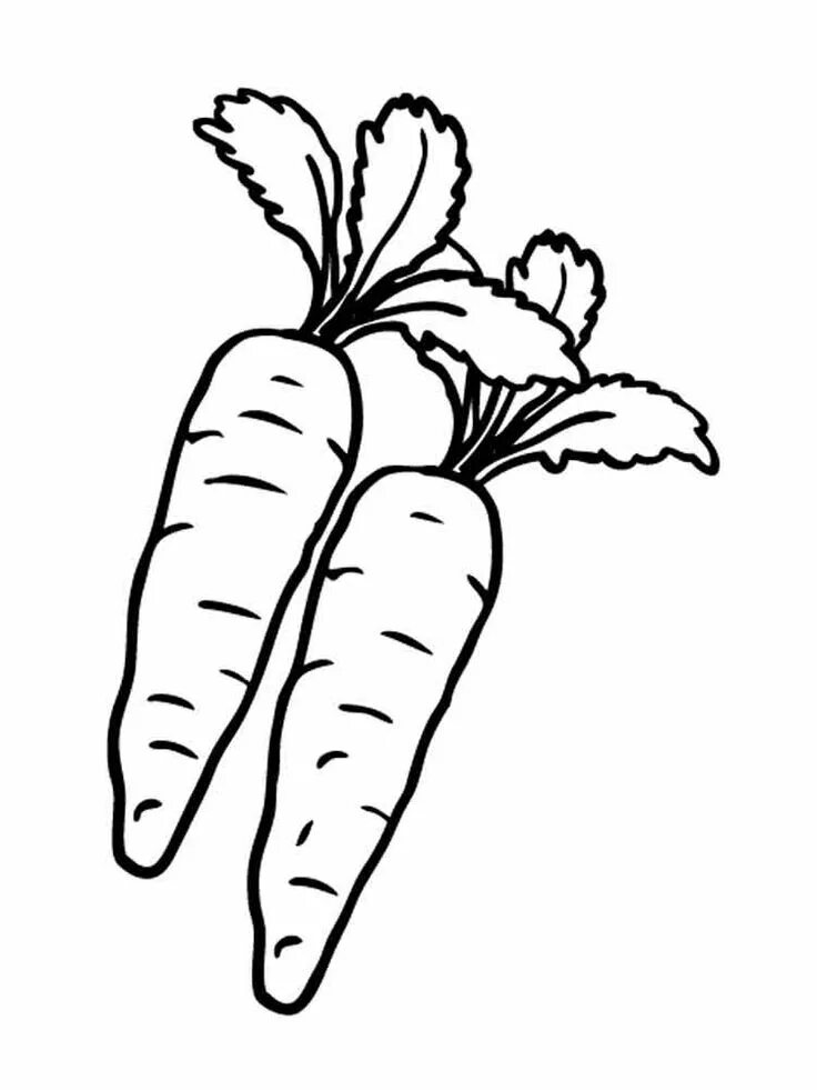 Раскраска морковка для детей распечатать Carrot Coloring Pages Best Coloring Pages For Kids Coloring pages, Line art dr