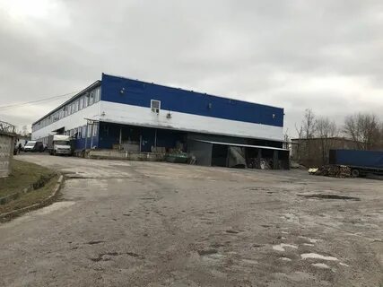 5000 квадратных метров