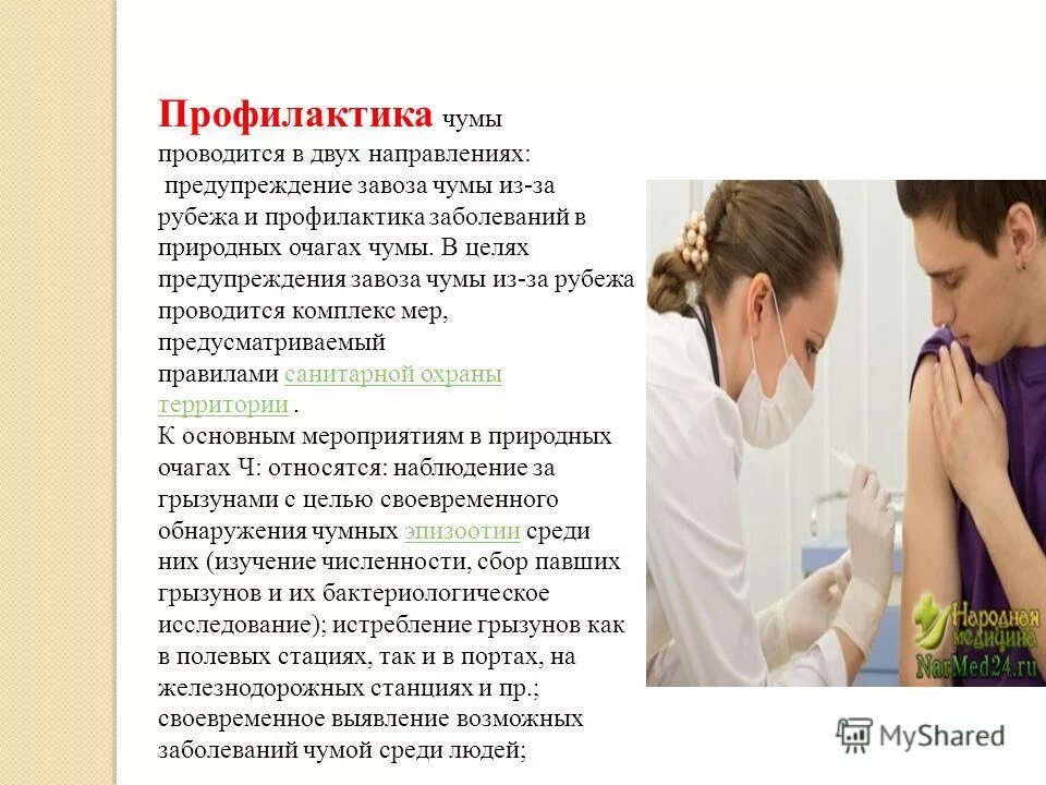 профилактика лечения чумы. профилактика болезни чумы. профилактика лечения чумы. профилактика лечения чумы.