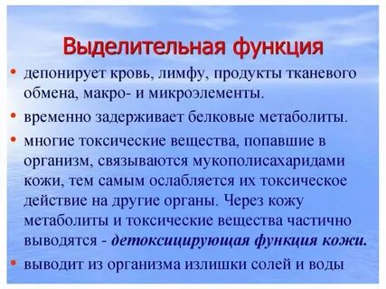 В чем проявляется дыхательная функция кожи