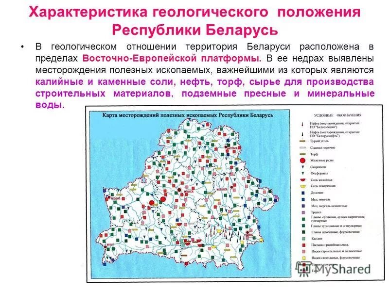 Положения рб. Положения рб