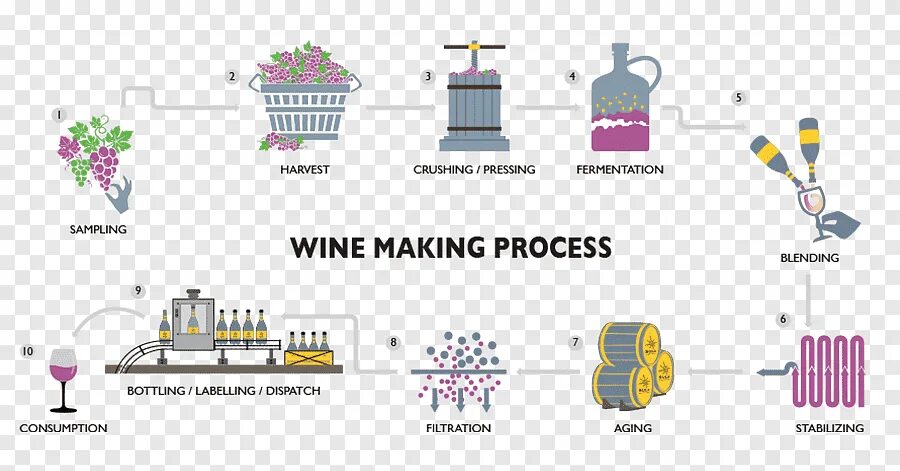 Wine processing