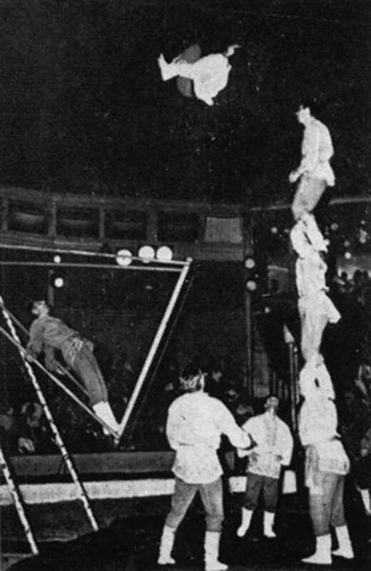 советский цирк акробаты. маяковский акробаты разбитых. воздушные гимнасты под куполом цирка. лошади из цирка запашных. василий москаленко цирк 87 год.