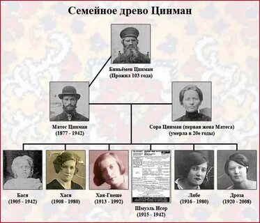 Династия пушкина