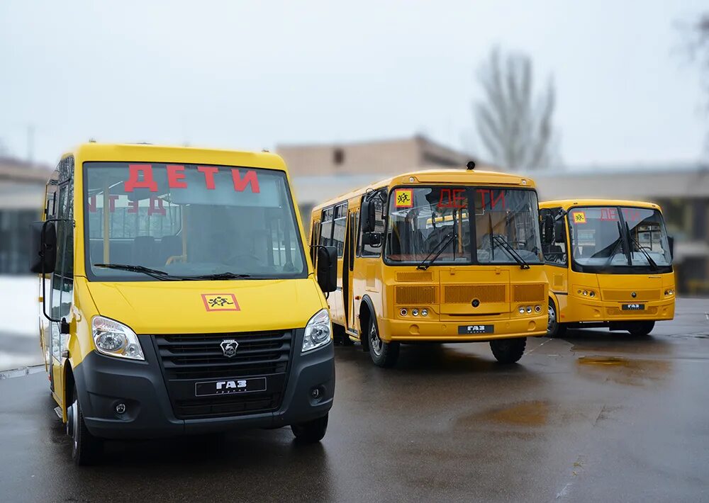 Специализированный автобус для перевозки детей. Школьный автобус. Школьные автобусы в России. Современный школьный автобус. Российский школьный автобус.