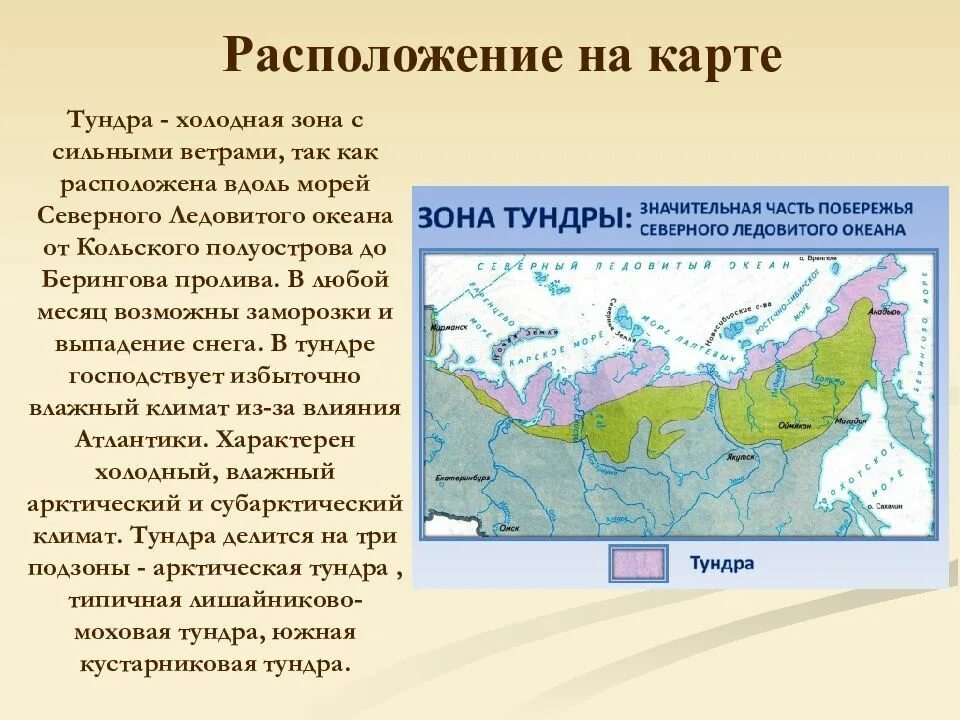 Географическое положение арктической тундры. Тундра на территории россии карта. географическое положение природных зон россии на карте. тундра расположение природной зоны. тундра россии географическое положение на карте россии.