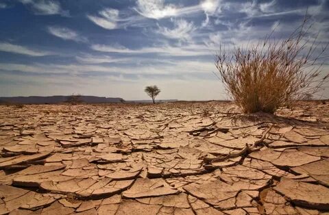 Dry east
