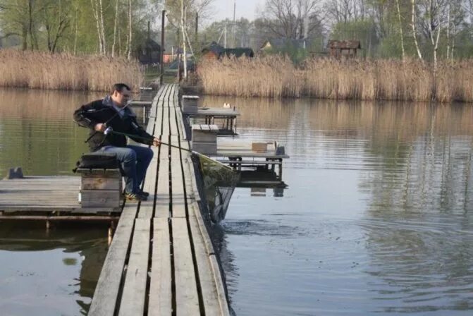 Барыбино рыбалка. Барыбино платная рыбалка. Барыбино Домодедово рыбалка. Озеро в Барыбино. Барыбино озеро платная рыбалка.