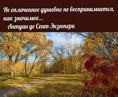 Последние дни золотой осени