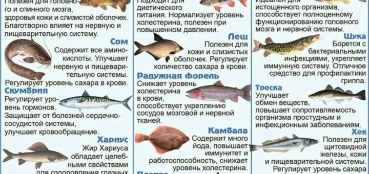 По содержанию жира рыбу делят. Рыба горбуша пищевая ценность. содержание жира в горбуше. горбуша жирность рыбы. горбуша жирность.
