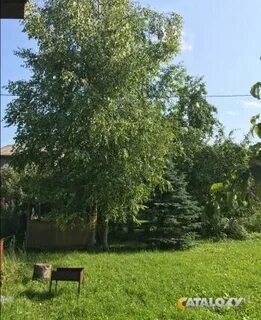 Снт 3 зио