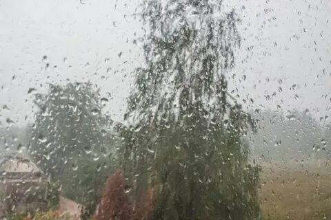 Погода ковров дожди