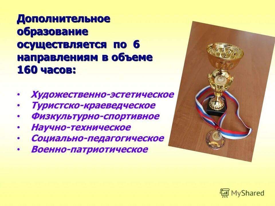 Направленности дополнительных общеобразовательных программ. Направленность образования это. Направления работы в доп образовании. Дополнительное образование реализуется по шести направленностям. Основные направления дополнительного образования.