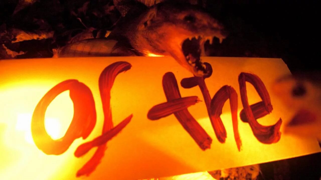 Lemon demon art eight wonder. Lemon demon eighth wonder. Lemon demon логотип. Лимон демон стикеры. Lemon demon - eighth wonder download.