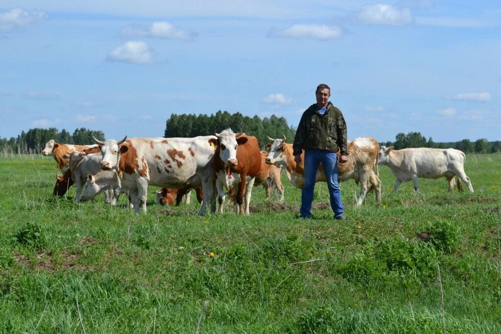 Профессия скотник. Женщины в сельском хозяйстве. Скотник. Скотники крс. Найди работу скотником в ставропольском крае.