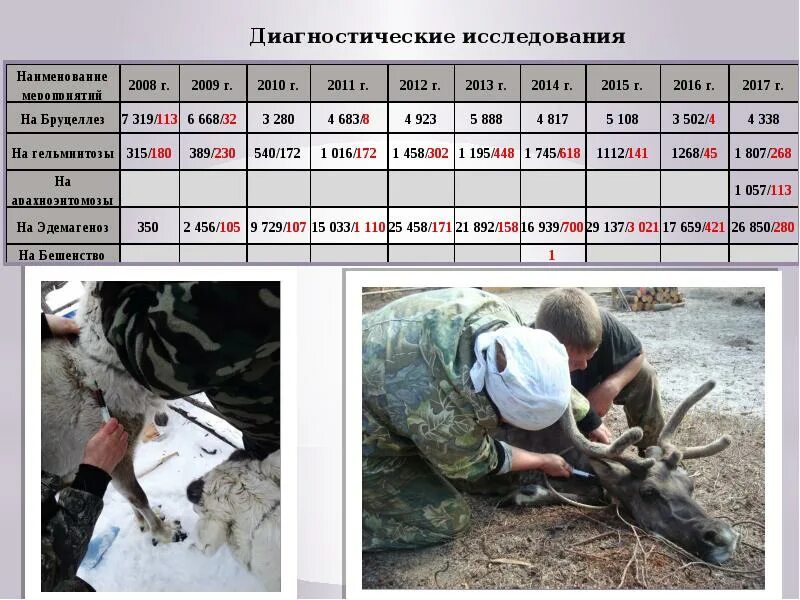 Эпизоотическое благополучие. Диагностические исследования животных. Эпизоотический журнал Ветеринария. Журнал эпизоотического состояния района. Эпизоотический журнал образец.