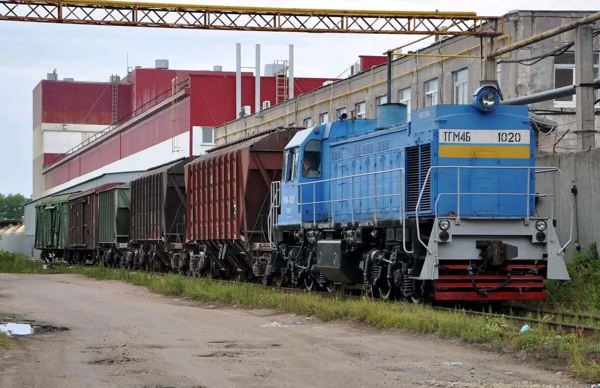 Тгм4б 1020. Ногинское ППЖТ ТГМ 4. Тгм4 в Ногинске. Ногинский Локомотив ППЖТ.