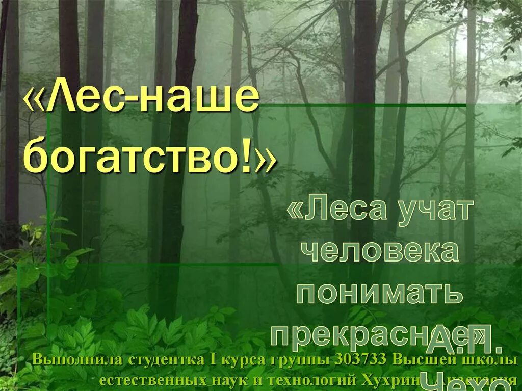 1 лес наше богатство. Лес наше богатство. Проект лес наше богатство. Лес-наше богатство презентация. Тема лес наше богатство.